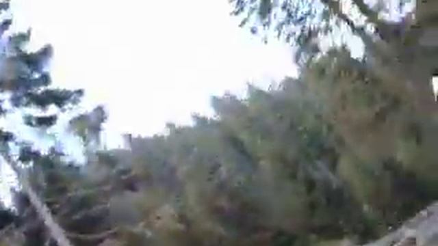 Zlodejevo Ride Rogla смотреть онлайн