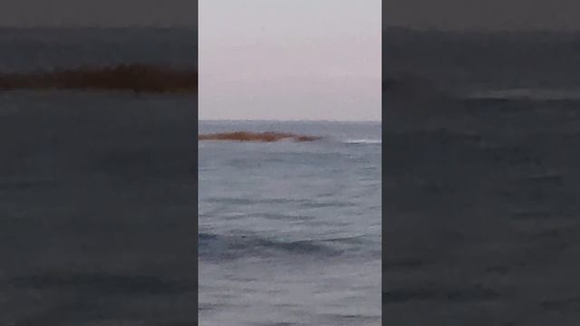 Можно ли купаться на Кипре в декабре? смотреть онлайн