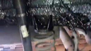 Ford EcoSport жидкие подкрылки. Наружная шумка выступает в роли защитного антикоррозионного слоя