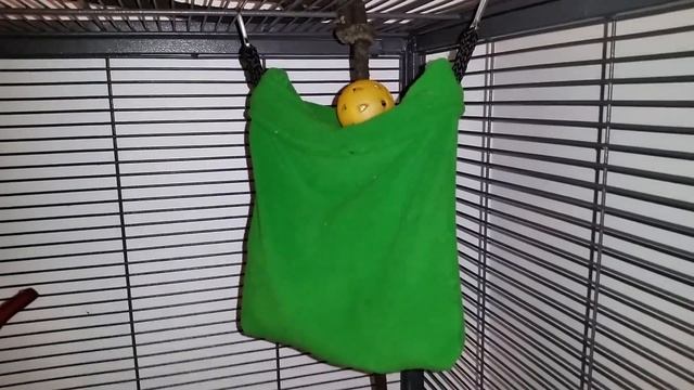 Disappearing Ball Trick смотреть онлайн