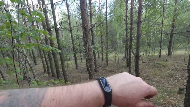Велопокатушки: Просто велопрогулка и обед в лесу. смотреть онлайн