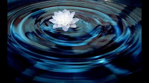 Хлопок - Эльфийские Истерики (флейта - Елена Кофанова)