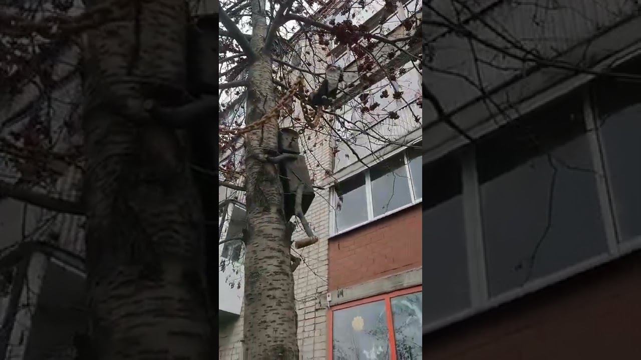 Магазин Жива/город Красноуфимск/Полезные продукты/Вид у магазина. смотреть онлайн
