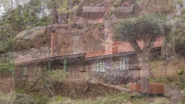 треккинг тенерифе, пешеходные маршруты, дикарем на тенерифе, русский пешедодный гид, канары смотреть онлайн