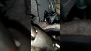 Решение проблемы вода в салоне ауди а4