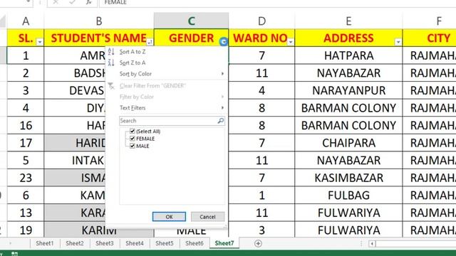 Data Entry वाले देखे | Filter Menu in Excel | How to use filter menu in excel | Microsoft Excel смотреть онлайн