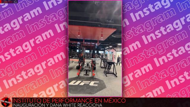 Alex Pereira INSISTE CON SER AMIGO de Israel Adesanya! IMPACTANTE México RECIBE PI por UFC! смотреть онлайн