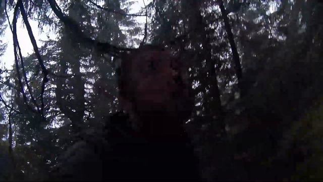 путешествие в польские Татры смотреть онлайн