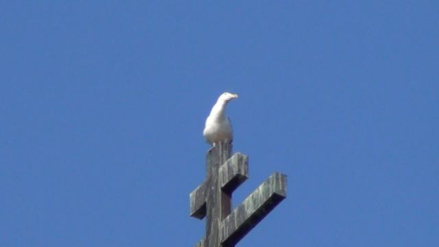 Великий Новгород часть 26 Антониев монастырь.mpg