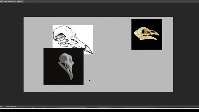 Рисуем череп мифического существа смотреть онлайн