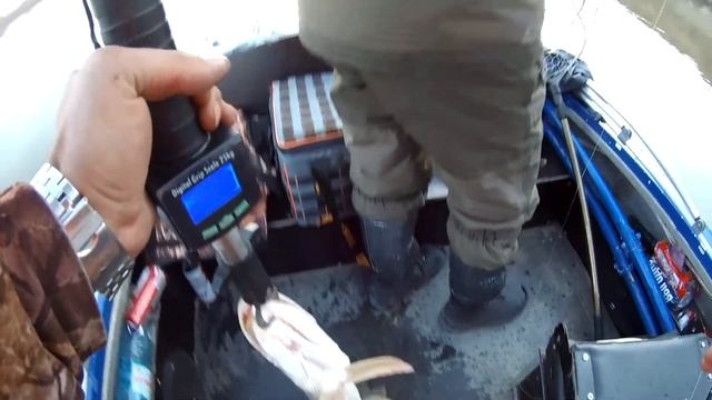 Трудовая рыбалка Омская область смотреть онлайн