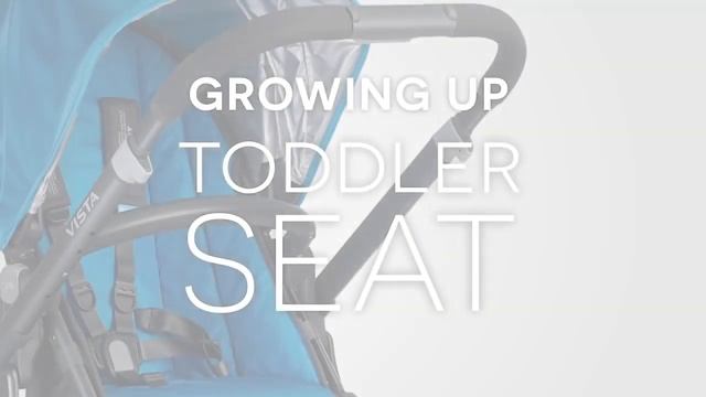 Обзор коляски 2в1 Uppababy Vista смотреть онлайн