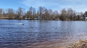 Тестируем  35км/ч RC радиоуправляемый катер с OZON