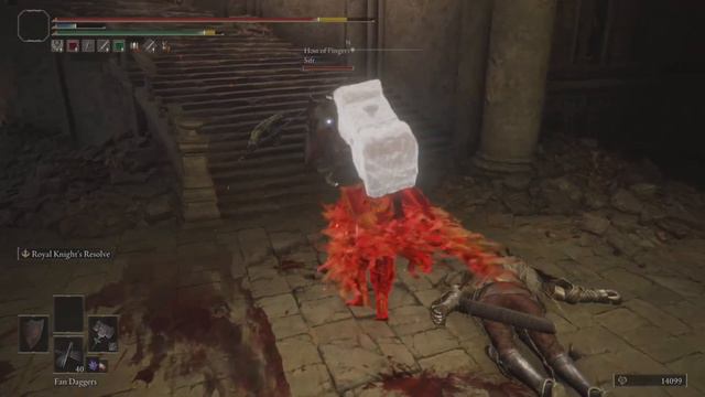 Fear The Bonk - Elden Ring Invasions смотреть онлайн