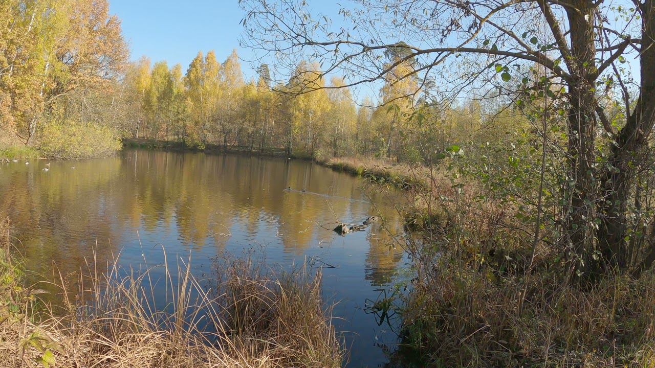 11.10.2021_3 смотреть онлайн