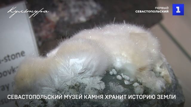 Севастопольский музей камня хранит историю Земли смотреть онлайн