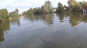 ДЖИГ для НОВИЧКОВ. С ЧЕГО НАЧАТЬ? АЗЫ джиговой рыбалки начинающим #джиг #рыбалканащуку #азыджига