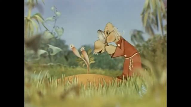 Ах... Гагия лютыа, семейство губоцветных! смотреть онлайн