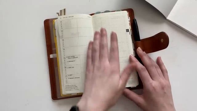 How I Bullet Journal In a Hobonichi Weeks | Hybrid Bujo | LindseyScribbles смотреть онлайн