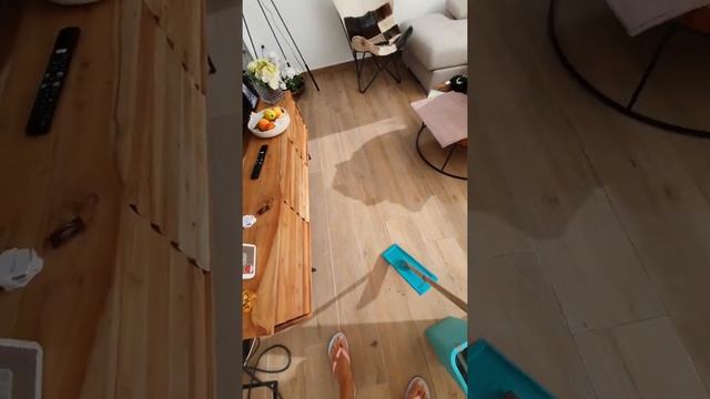 Лучшая швабра смотреть онлайн