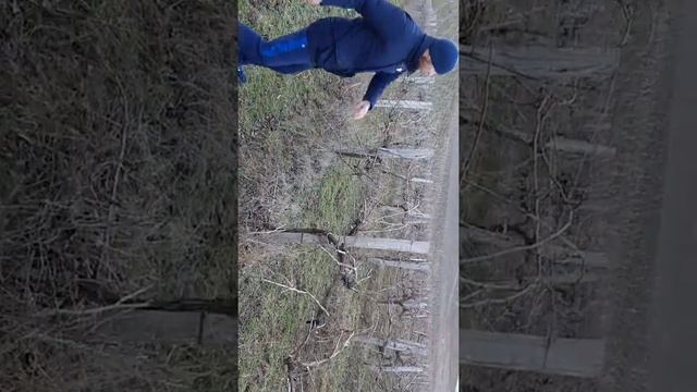 Обрезка муската гамбургский. смотреть онлайн