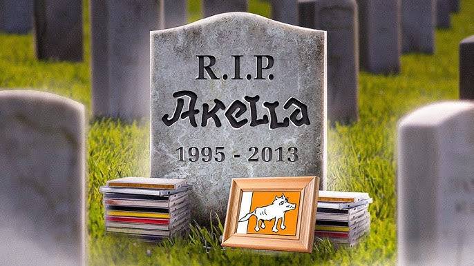 История компании Акелла