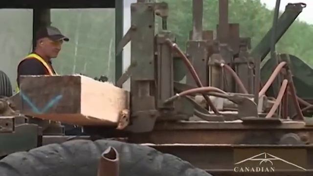 A look into Canadian Timberframes смотреть онлайн