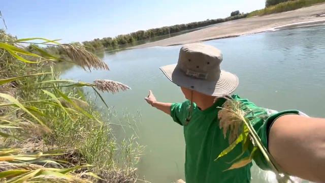 Сазан,толстолобик,змееголов,рыбалка низовье Каратала,06.09.2022 смотреть онлайн