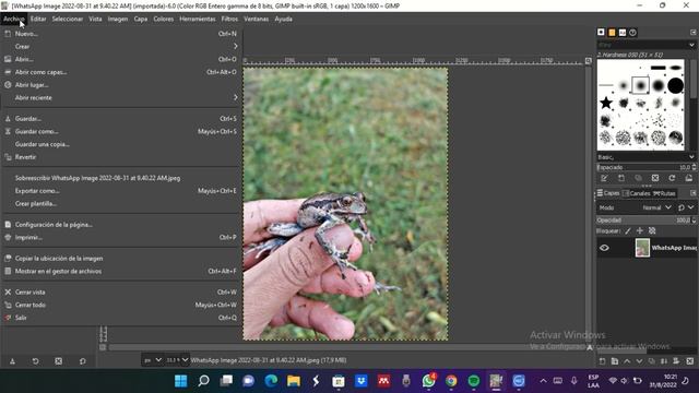 Cómo DESCARGAR E INSTALAR GIMP | EDITOR | IMAGEN | PROFESIONAL | TENDENCIA | 2022 |SITIO OFICIAL смотреть онлайн