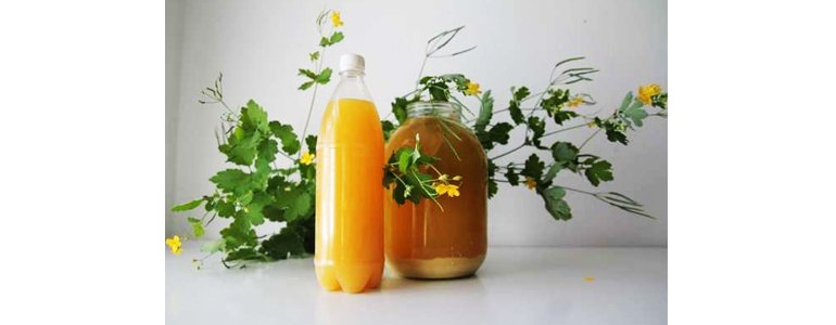 КАК ПОХУДЕТЬ ПО БОЛОТОВУ смотреть онлайн