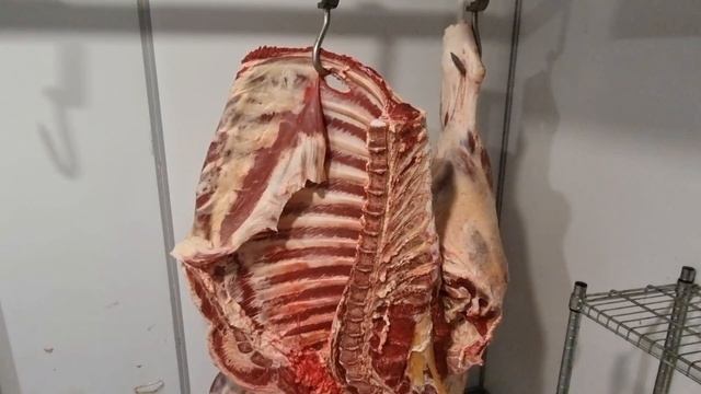 ПРОДАЕМ МЯСО ГОВЯДИНА ГЕРЕФОРД.  Цена от 795 рублей за кг. Вырезка = 5500 рублей.