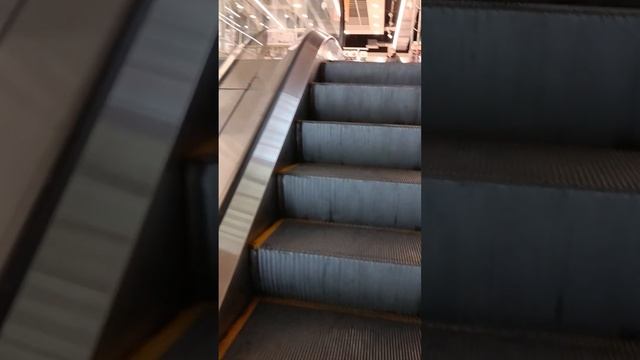 Мечникова ТЦ Бирюза. смотреть онлайн