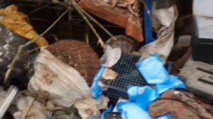 01.12.23. Афанасий... семь на восемь... восемь на семь...