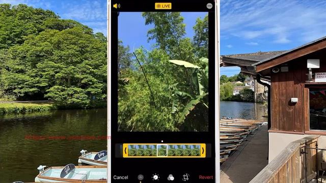 iPhone 7 : How to remove the sound within a live photo смотреть онлайн