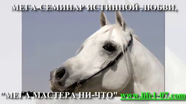 Астральная проекция