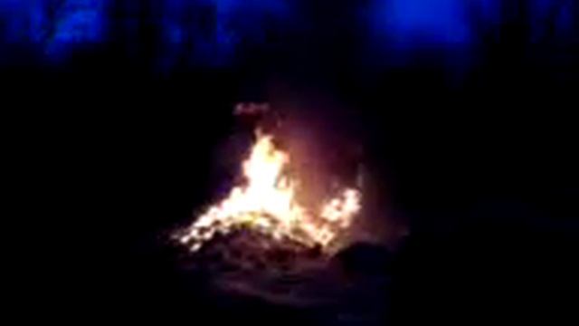 Как горят опилки смотреть онлайн