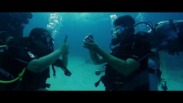 Scuba Diving Proposal