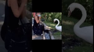 #юмор О бог мой...