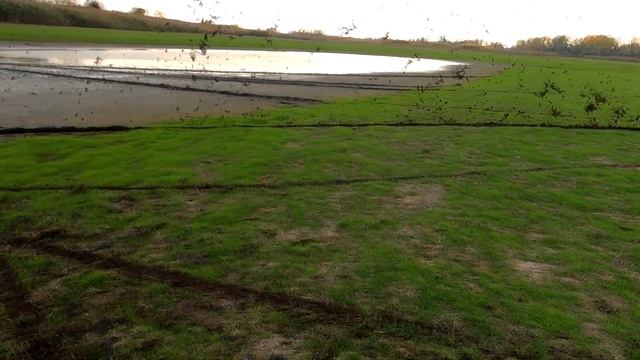 ЖЕСТОКИЙ ГОВНОМЕС НА ЭНДУРО / ZUUM / FXMOTO / ВСПАХАЛИ БОЛОТО смотреть онлайн