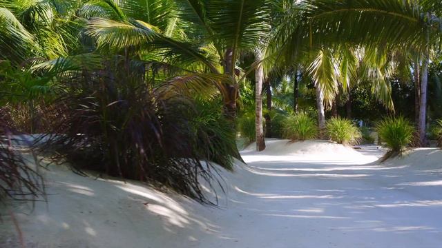 Finolhu Baa Atoll Maldives 5*