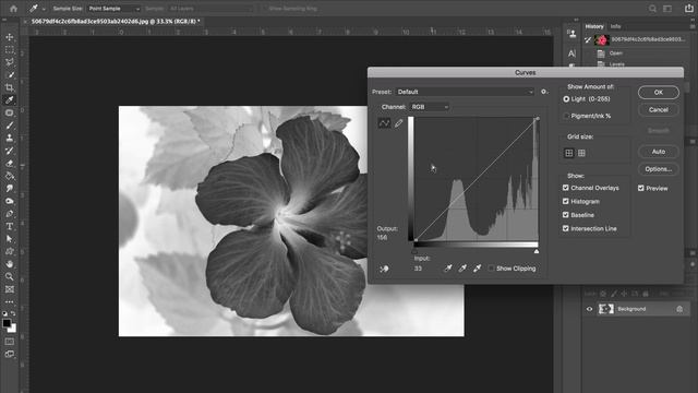 Making Digital Negatives for Cyanotype with Photoshop смотреть онлайн