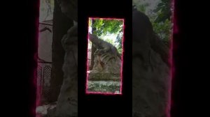 песня пошёл ты Старый Новый год