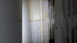 Починка котла газового Альфа-колор