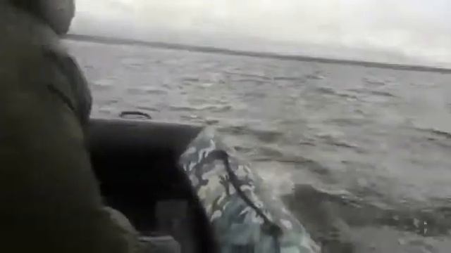 озеро тростенское. 3 сентября 2021. смотреть онлайн