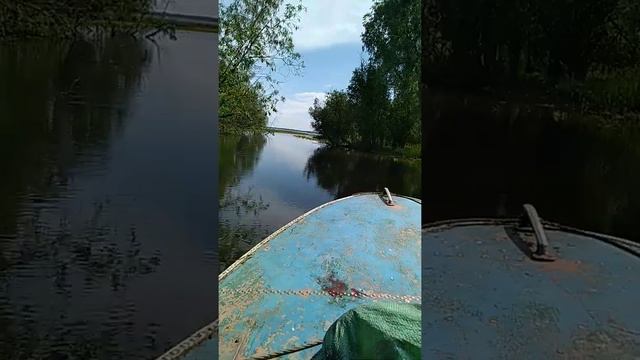 Украли снасть, ищем пропажу!!! смотреть онлайн