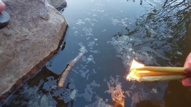 Чистка от порчи на болото,жабьей порчи,болотных гадов,нечисти и застоя. Порч сделаных на местах сил смотреть онлайн