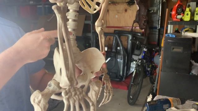 Making a skeleton stand on its own смотреть онлайн