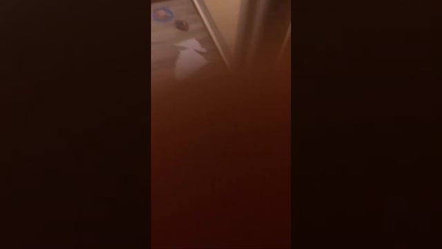 Как накачаться ребёнку смотреть онлайн