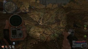 Поиск артефактов "Колобок" и "Ломоть мяса" для квеста Гарика