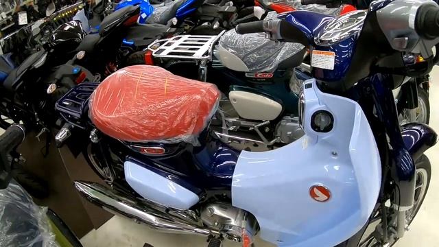 HONDA　Super Cub C125　Pearl Niltava Blue(パールニルタバブルー) смотреть онлайн